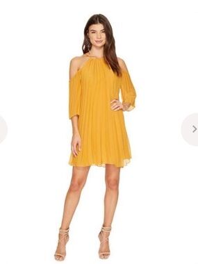Revolve Dress